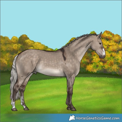Horse Color:Silver Brown Dun Mushroom Sabino 