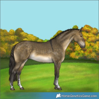 Horse Color:Buckskin Dun Mushroom Sabino Rabicano 