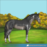 Horse Color:White Spotted Black Mushroom 