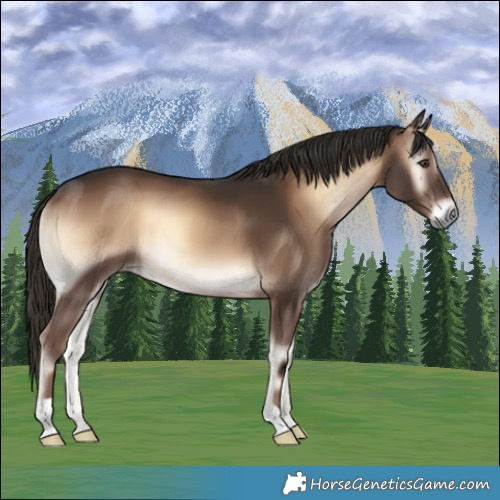 Horse Color:Liver Red Onyx 