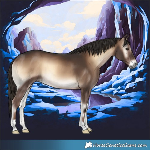 Horse Color:Liver Red Onyx