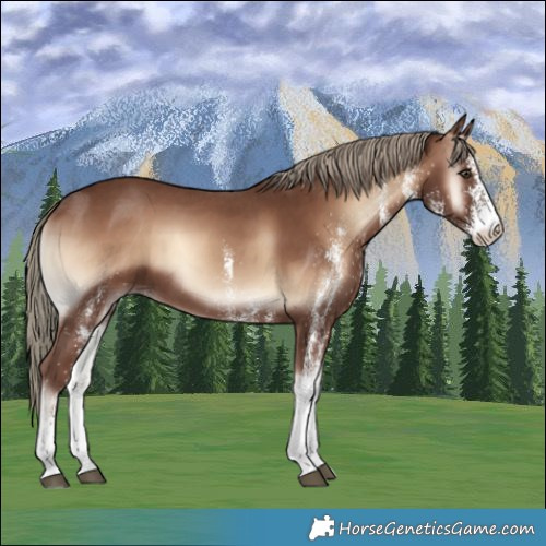 Horse Color:White Spotted Red Onyx Mushroom 