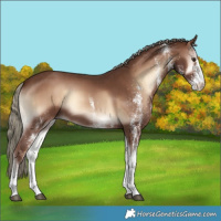 Horse Color:White Spotted Red Onyx Mushroom