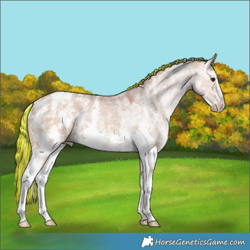 Horse Color:Painted Chocolate Silver Bay Ice Dun Sabino 
