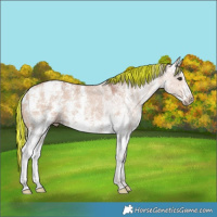 Horse Color:Painted Chocolate Silver Bay Ice Dun Sabino