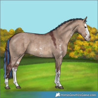 Horse Color:Painted Chocolate Brown Dun Sabino Splash