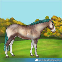 Horse Color:Painted Chocolate Brown Onyx Sabino Splash 