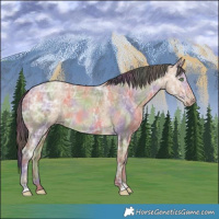 Horse Color:Nacre Amber Champagne Ice 