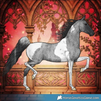 Horse Color:Blue Roan Tobiano 