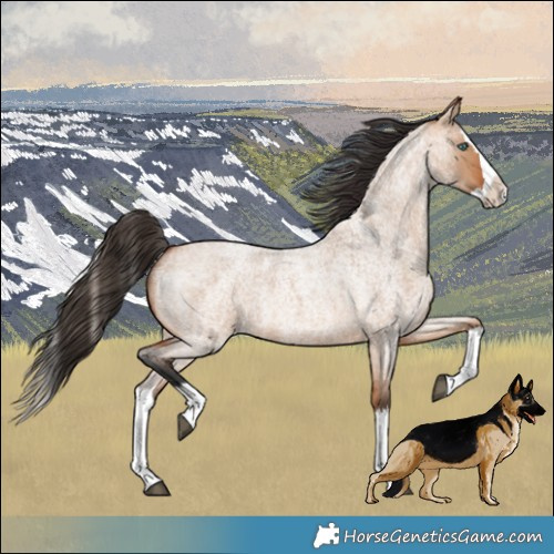 Horse Color:Bay Roan Dun Splash 