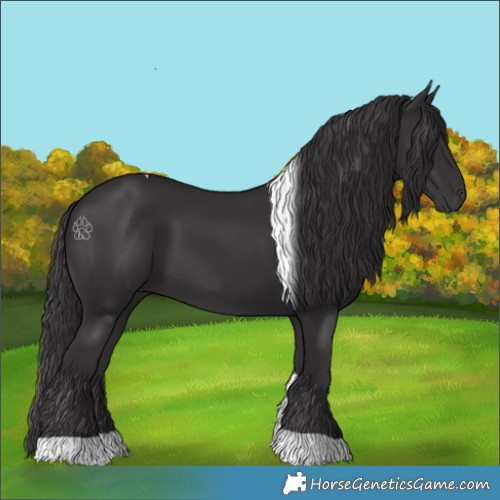 Horse Color:Smoky Black Tobiano 