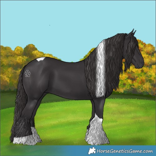 Horse Color:Smoky Black Tobiano