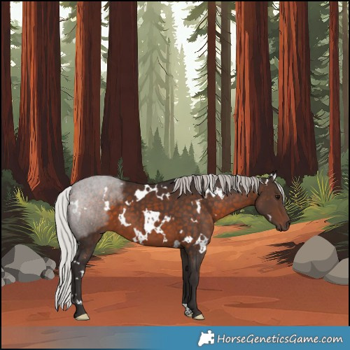 Horse Color:White Spotted Silver Brown 