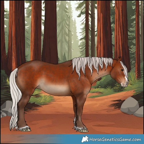 Horse Color:Silver Bay Splash Tobiano 