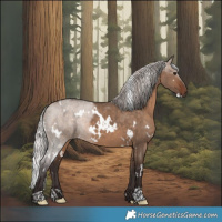 Horse Color:White Spotted Silver Bay Dun