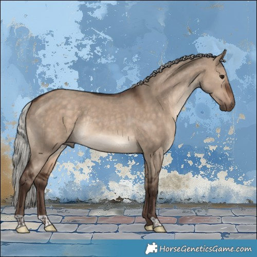 Horse Color:Silver Brown Dun Rabicano 