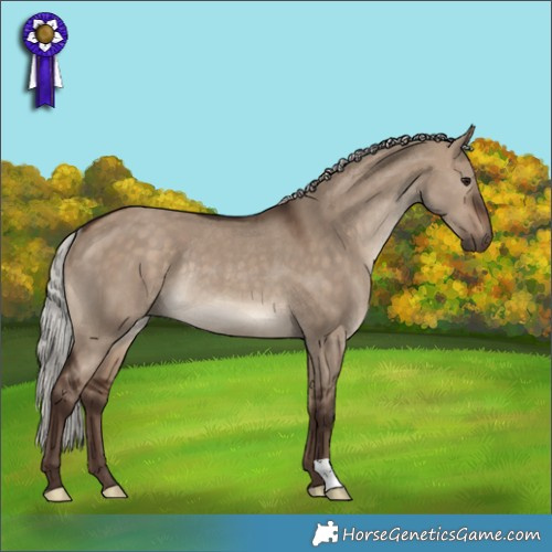 Horse Color:Silver Bay Dun Rabicano 