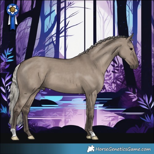 Horse Color:Silver Grullo 