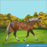 Horse Color:Powder White Chocolate Palomino Tobiano Rabicano