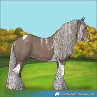 Horse Color:Powder White Silver Grullo Tobiano 