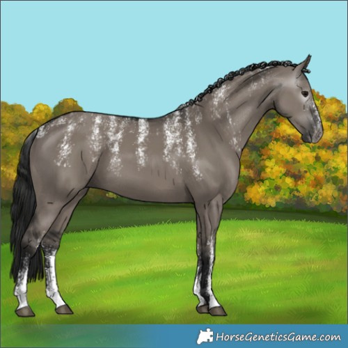 Horse Color:Powder White Gray Grullo 