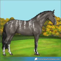 Horse Color:Powder White Gray Grullo