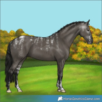 Horse Color:Powder White Gray Grullo