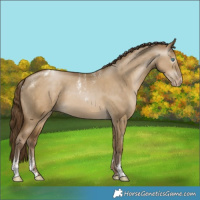 Horse Color:Powder White Gray Smoky Grullo Pearl 