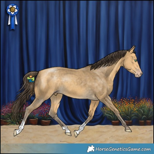 Horse Color:Amber Cream Champagne 