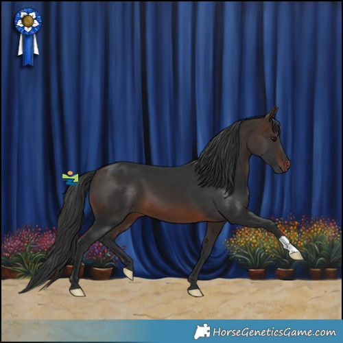 Horse Color:Brown 