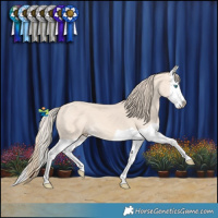 Horse Color:Perlino Splash