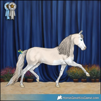 Horse Color:Perlino Splash