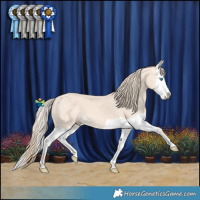 Horse Color:Perlino Splash 
