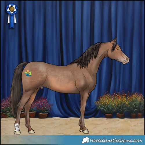 Horse Color:Sable Champagne 