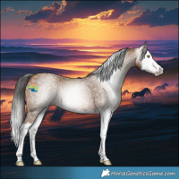 Horse Color:Gray Amber Champagne Splash Rabicano 