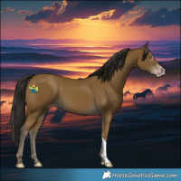 Horse Color:Gray Classic Cream Champagne