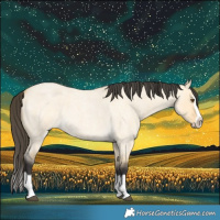 Horse Color:Buckskin Roan Dun Splash 