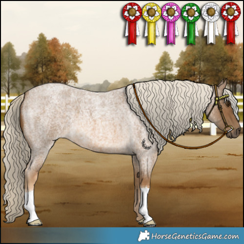 Horse Color:Chocolate Palomino Roan 