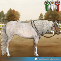 Horse Color:Chocolate Palomino Roan 