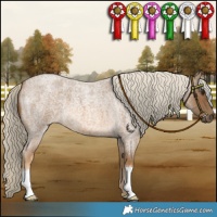 Horse Color:Chocolate Palomino Roan 