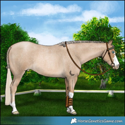 Horse Color:Chocolate Palomino Roan Pearl 