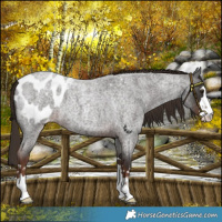 Horse Color:Liver Red Roan Blanket 