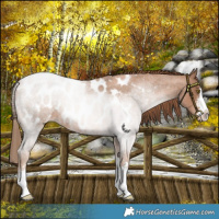 Horse Color:Liver Red Roan Pearl Near Leopard 