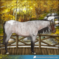 Horse Color:Liver Red Roan Varnish 