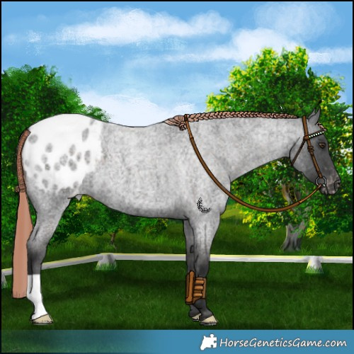 Horse Color:Liver Red Roan Blanket 