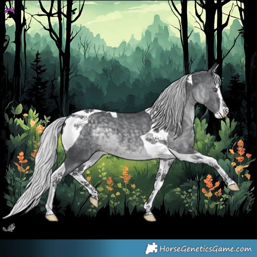 Horse Color:Silver Black Chinchilla Splash Tobiano 