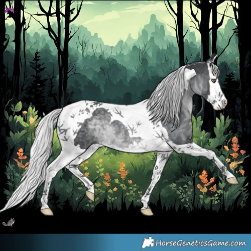 Horse Color:Silver Black Chinchilla Splash Tobiano Rabicano 