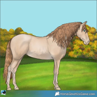Horse Color:Smoky Black Pearl 