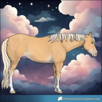 Horse Color:Gold Cream Champagne