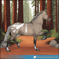 Horse Color:Powder White Silver Brown Dun Appaloosa Rabicano